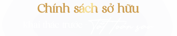 Chính sách sở hữu