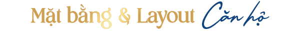 Mặt bằng layout căn hộ